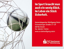 Stein Handball 336x206